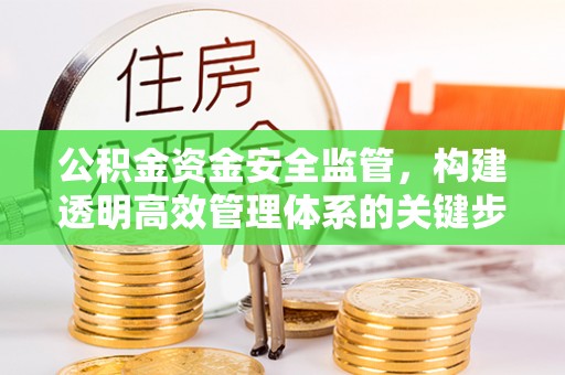 员山公积金资金安全监管，构建透明高效管理体系的关键步骤