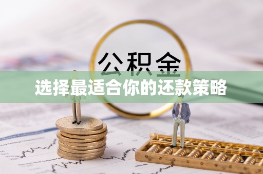 员山选择最适合你的还款策略